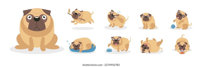 Cute Pug Dog and Canine with Wrinkled Snout Vector Set