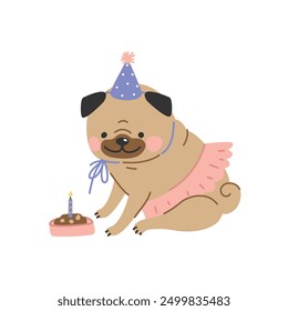 Cute pug dog celebrates his birthday wearing a party hat. Vector illustration flat style.