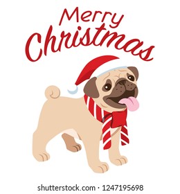 cute pug dog celebrating the christmas