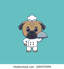 Cute pug dog chef holding restaurant cloche