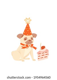 Cute pug dog in a cone-cap sitting with birthday cake birthday animal concept cartoon animal design vector illustration on white background