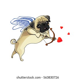 A cute pug dog. Cupid with wings, bow and arrow. Valentine's day. Be my valentine card. Vector isolated on white background