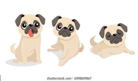 Cute pug dog in different expressions