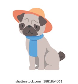 Cute Pug Dog Dressed in Scarf and Hat, Funny Pet Animal Character Cartoon Style Vector Illustration