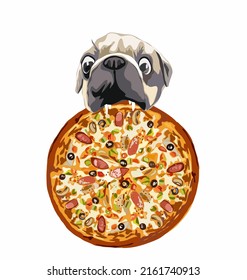 Cute Pug dog eating pizza. Cartoon style realistic vector illustration isolated on white background.. Design for t-shirt, stickers, etc.