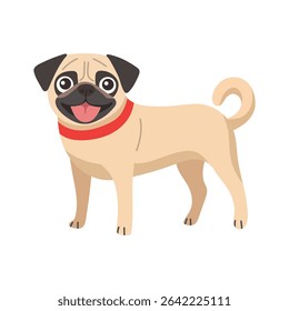 Cute pug dog. Flat vector clipart, illustration with isolated background.