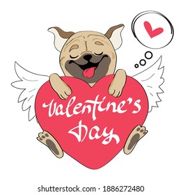 Cute pug dog holding a heart with the inscription Valentine's Day isolated. Funny cartoon animal