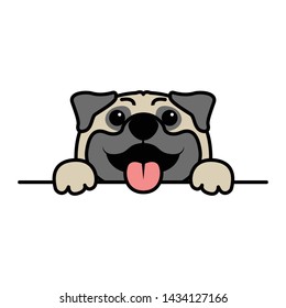 Cute pug dog paws up over white wall, dog face cartoon icon, vector illustration