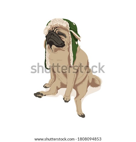 Cute pug dog pet in trapper cap. Adorable friendly purebred chubby domestic animal wearing warm headwear cartoon vector illustration isolated on white background