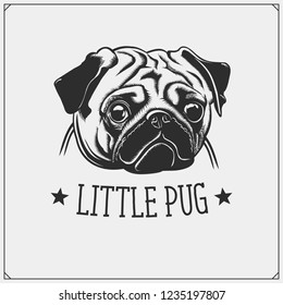 Cute Pug dog portrait. Emblem for Pets Shop. Print design for t-shirts.