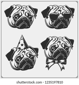 Cute Pug dog portrait with Holiday Attributes. Print design for t-shirts. Template for Pets Shop design.