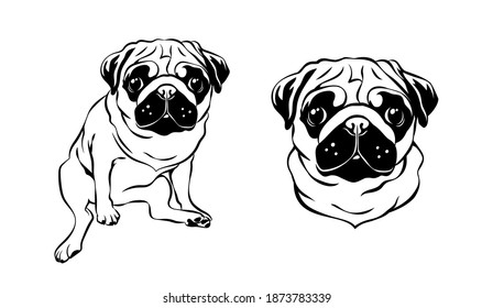 Cute pug, dog portrait. Line art, vector illustration