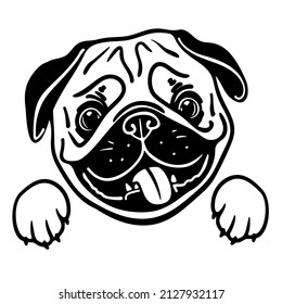 Cute pug dog portrait, puppy illustration