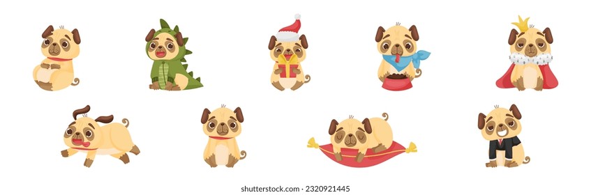 Cute Pug Dog Puppy Engaged in Different Activity Vector Set