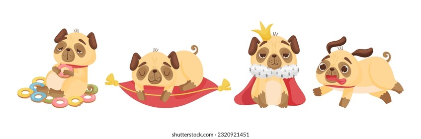 Cute Pug Dog Puppy Engaged in Different Activity Vector Set