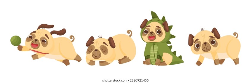 Cute Pug Dog Puppy Engaged in Different Activity Vector Set