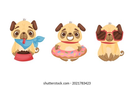 Cute Pug Dog Puppy Feeding and Wearing Sunglasses Vector Set