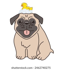 Cute pug dog with rubber duck on head. pet shop, veterinary clinic, animal shelter, children's book, greeting card, pet accessories, nursery decor, animal theme merchandise.