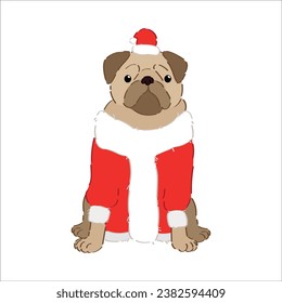 Cute pug dog in Santa costume on white background. Christmas cel