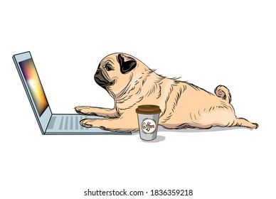 Cute pug dog sitting at laptop. Humor poster, t-shirt composition, hand drawn style print. Vector illustration. Wall stickers