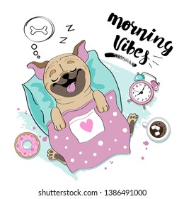 Cute pug dog sleeping on a pillow and the inscription Morning Vibes