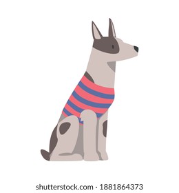 Cute Pug Dog in Stripped T-shirt, Funny Pet Animal Character Dressed Casual Clothes Cartoon Style Vector Illustration