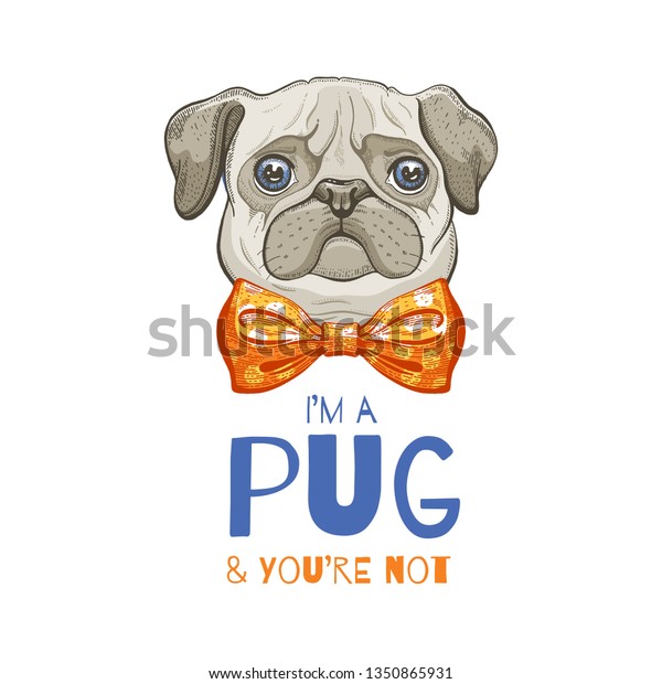 t shirt for pug dog