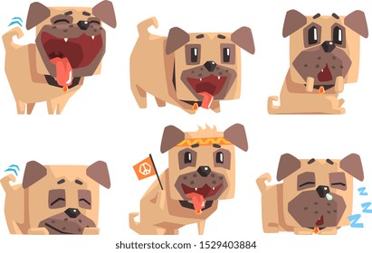 Cute Pug Dog with Various Emotions Set, Adorable Funny Animal Cartoon Character Vector Illustration