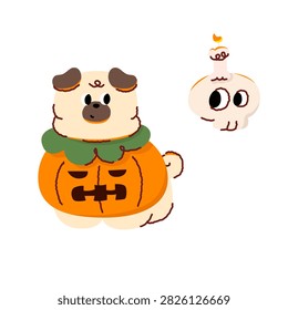 Cute pug dog wearing
