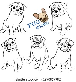 Cute Pug dogs doodles.Hand drawn vector illustration on white back ground.