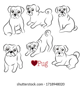 Cute Pug Doodle Collection in Different Poses in Vector Illustration Style.