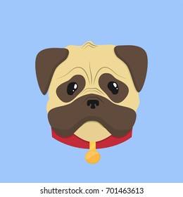 Cute pug face on a blue background