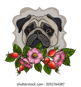 Cute pug with floral , dog pet drawn