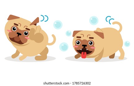 Cute Pug Hanging out Tongue and Scratching Head with Paw Vector Set