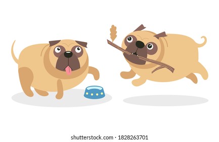 Cute Pug Hanging out Tongue and Running with Stick in the Mouth Vector Set
