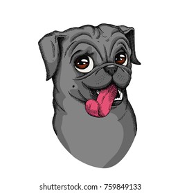 Cute Pug head illustration. Hand drawn vector dog