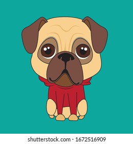 cute pug illustration wearing hoodie, big face.
