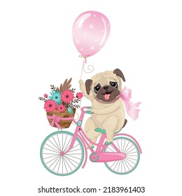 Cute pug with a pink bow and a balloon on a bicycle with a basket of flowers
