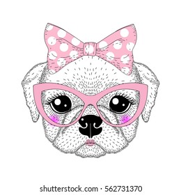 Cute pug portrait with pin up bow tie , kat eyes glasses. Hand drawn dog face, anthropomorphic fashion animal cartoon illustration for t-shirt print, kids greeting card, invitation for pets party.