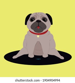 Cute pug puppy sitting with tongue