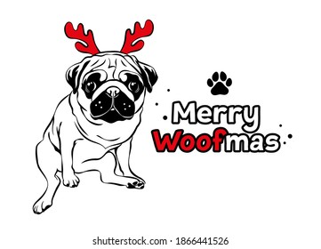 Cute pug with red reindeer antlers. Christmas pug dog portrait. Merry woofmas text. Vector illustration