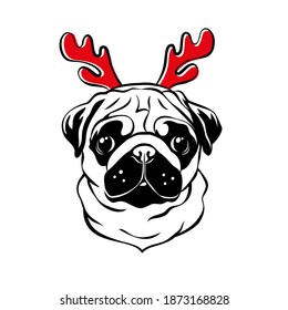 Cute pug with red reindeer antlers. Christmas pug dog portrait. Vector illustration