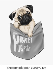 cute pug in shirt pocket illustration