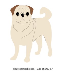 Cute pug. Vector hand drawn dog isolated on white background. Purebred pet.