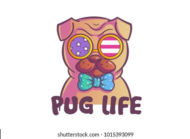 Cute Pug . Vector Illustration. Isolated on white background.