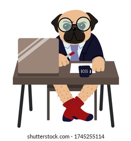 Cute pug weared glasses sits at a table and works on laptop. Flat illustration concept on white background about freelancing or remote work.