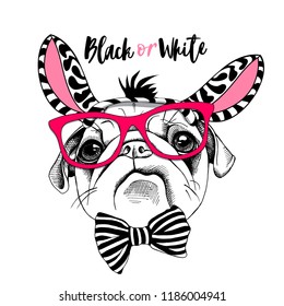 Cute Pug in a zebra mask with a glasses and in a striped bow tie. Black or white - lettering quote. Humor card, poster, t-shirt composition, hand drawn style print. Vector illustration.