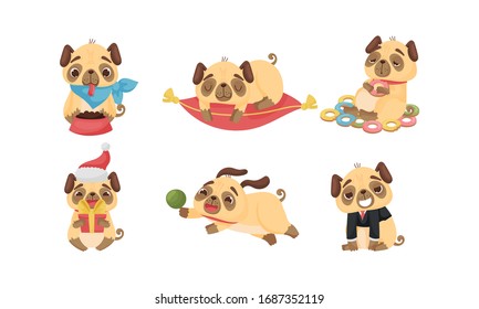 Cute Pug-dog Puppy Eating Doughnuts and Playing with Ball Vector Set