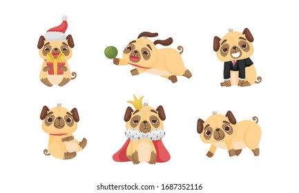 Cute Pug-dog Puppy Wearing Mantle and Playing with Ball Vector Set