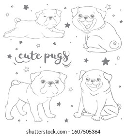 Cute Pugs. Dogs. Hand drawing isolated objects on white background. Vector illustration.